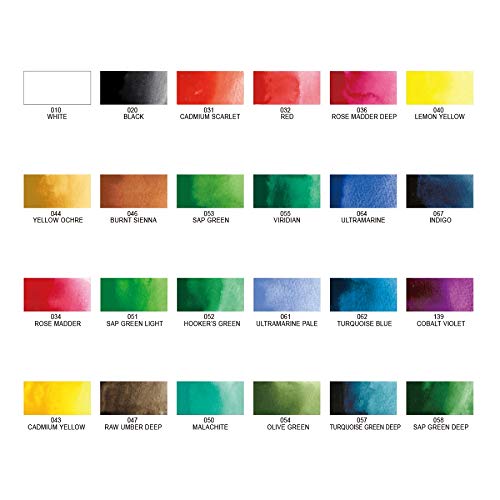 Kuretake GANSAI TAMBI Watercolor Paint Set 24 Colors, Professional-quality art supplies for artists adult painting aketching, Non-Toxic, Made in Japan - style: Set of 24 colors