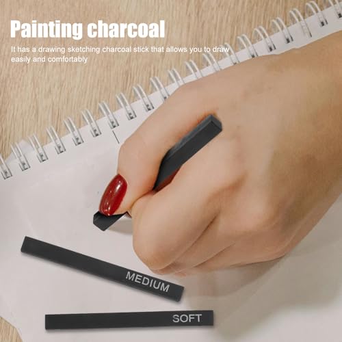 minkissy Compressed Charcoal Drawing Set with 6 Charcoal Sticks and 6 Highlight Pencils, Professional Sketching and Shading Art Supplies for Adults and Artists