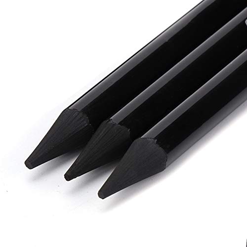 Pssopp 3Pcs Woodless Charcoals Pencils, Charcoal Drawing Bar Sticks Sketch Pencils Artist Art Drawing Sketching Painting Tools Stationery For Students Adults Artist and Beginner