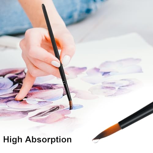 Watercolor Brushes Professional Set，12pcs Artist Watercolor Paint Brushes，Round Painting Brush for Watercolor, Acrylics, Ink, Gouache(Black)