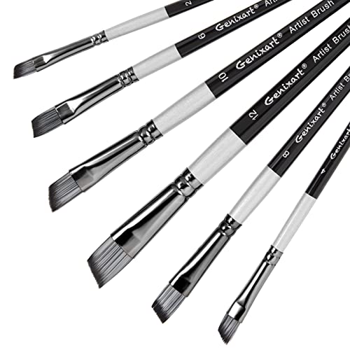 Angular Paint Brushes Set, 6 Pcs Angled Paintbrushes for Acrylic Oil Watercolor Gouache Painting, Premium Nylon Hair Angle Shader Brush for Art Beginners and Artist Professionals - size: Angle - 6 Pcs
