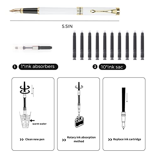 Tiankool Luxury Fountain Pen,Fine Nib, Exquisite Pen Gift Set for Men&Women-Includes 10 Ink Cartridges&Ink Converter- Nice Pens - White - color: White