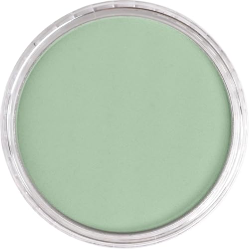 PanPastel Artist Pastels by GOLDEN, Chromium Oxide Green Tint, 2.44” / 62mm Pan Diameter, Professional Artist Pastels, Unique Pan Format (cake-like) - color: Chromium Oxide Green Tint, size: 1 Count (Pack of 1)