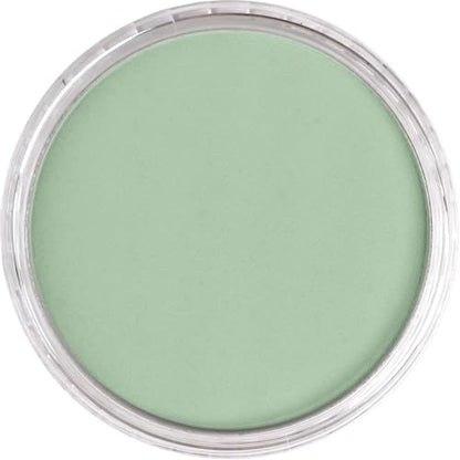 PanPastel Artist Pastels by GOLDEN, Chromium Oxide Green Tint, 2.44” / 62mm Pan Diameter, Professional Artist Pastels, Unique Pan Format (cake-like) - color: Chromium Oxide Green Tint, size: 1 Count (Pack of 1)