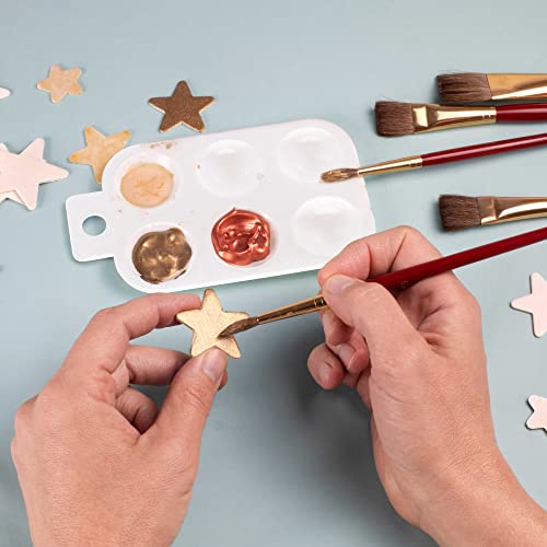 U.S. Art Supply 6-Well Plastic Rectangular Artist Painting Palette - Paint Color Mixing Tray - Art Students, Classroom, Class Craft Projects, Fun Parties - Brush Mix Acrylic, Oil, Watercolor - size: 6-Well Rectangular