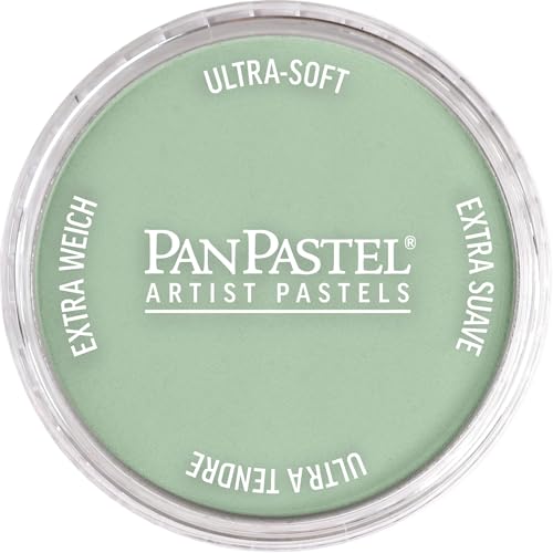 PanPastel Artist Pastels by GOLDEN, Chromium Oxide Green Tint, 2.44” / 62mm Pan Diameter, Professional Artist Pastels, Unique Pan Format (cake-like) - color: Chromium Oxide Green Tint, size: 1 Count (Pack of 1)