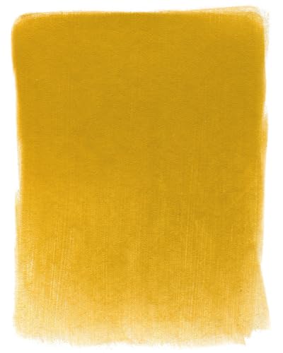 PanPastel Artist Pastels by GOLDEN, Diarylide Yellow Shade, 2.44” / 62mm Pan Diameter, Professional Artist Pastels, Unique Pan Format (cake-like) - color: Diarylide Yellow Shade, size: 1 Count (Pack of 1)