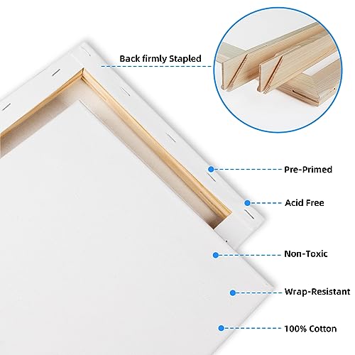 20 Pack Stretched Canvases for Painting with 4packs of 4x4, 5x7,8x10,9x12, 11x14 100% Cotton Blank Painting Canvas for Oil, Acrylic Paint & Other Painting Media - size: Mix 20Pack