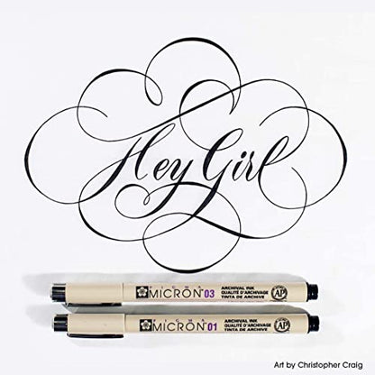 SAKURA Pigma Micron Black Ink Multi-tip Set, 6 Pack - size: 1 Count (Pack of 6)