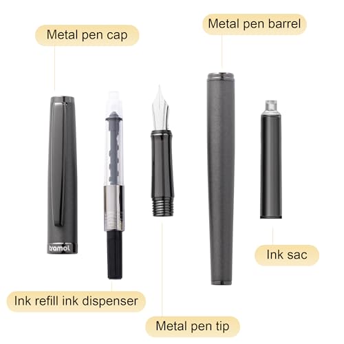Fountain Pen Set,Extra Fine Nib,Includes 2 Ink Cartridges and Ink Converter, Ideal for Journaling and Calligraphy, Smooth-writing Fountain Pen - color: Black