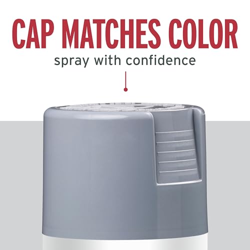 Rust-Oleum 7786830 Stops Rust Spray Paint, 12 oz, Gloss Smoke Gray - color: Gloss Smoke Gray, size: 12 Ounce (Pack of 1)