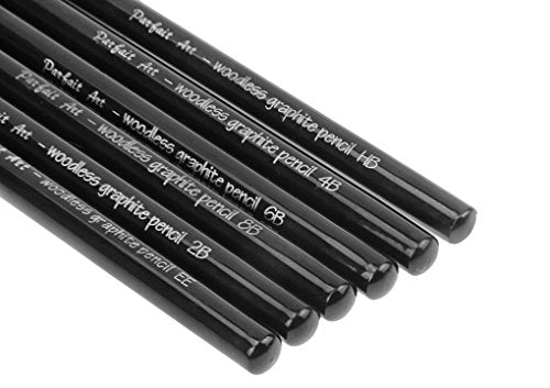 Woodless Pencil Set 6 Pcs Black Graphite Pencil Set Art Supplies Non-Wood Artist Pencil Charcoal Sticks Artist Beginner Sketch Tool Dawing Supplies for Sketch & Shading Pencils,HB 2B 4B 6B 8B EE