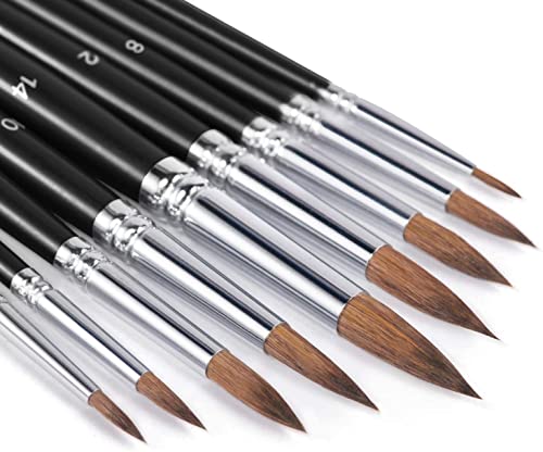 Sable Watercolor Brushes, Fuumuui 9pcs Detail to Mop Sable Brushes Round Pointed Professional Water Color Brushes Perfect for Watercolor Gouache Acrylic Ink Painting - color: Black