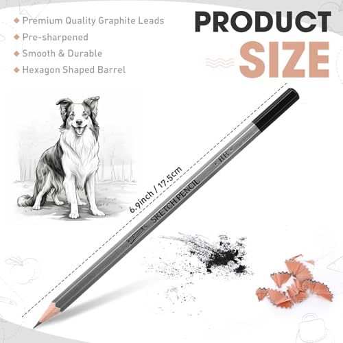 48 Pcs Drawing Sketching Pencil Set, Professional Drawing Pencils (10b - 6h) Graphite Sketch Pencil Artist Pencils Ideal for Beginners & Pro Artists, Drawing Art, Sketching, Shading Christmas Gifts