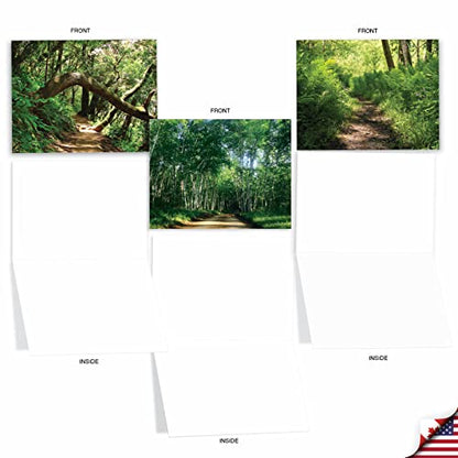 Best Card Co Box of 10 All Occasion Cards Blank (4 x 5.12 Inch) Scenic Landscape Cards Assorted Nature Trails for Men and Women M6467OCB-NB - style: Nature Trails