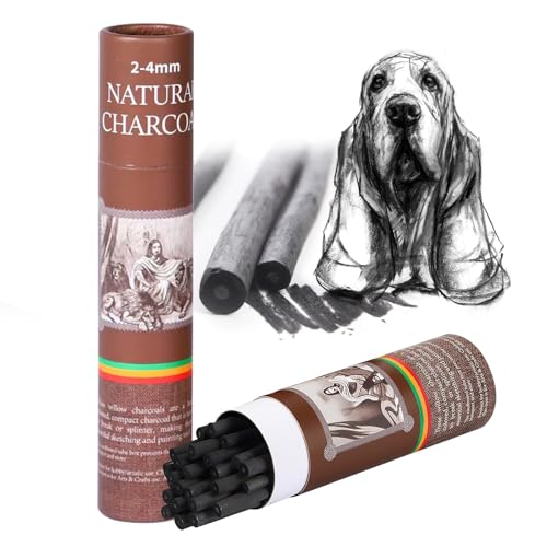 25 Pcs Willow Charcoal Sticks, Willow Charcoal,Sizes: 2-4mm,Professional Soft Black Drawing Charcoal for Sketching & Art