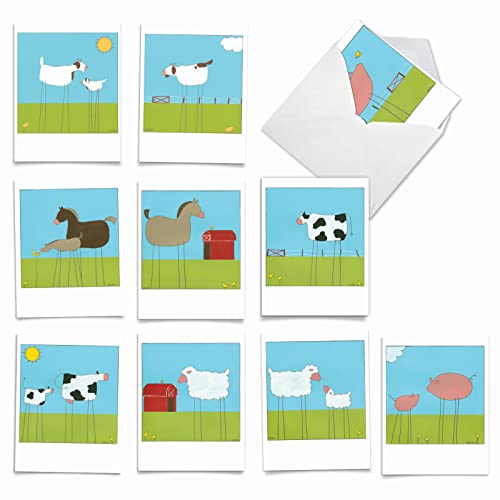 The Best Card Company - 10 Assorted Blank Notes Box Set 4 x 5.12 Inch with Envelopes (10 Designs, 1 Each) Boxed Assorted Kid Cards of Pets - STICK LEGS M6656OCB - style: Stick Legs