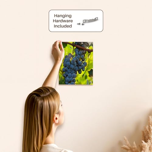 3dRose China, Xinjiang, Xinjiang Uyghur, Manas. Cabernet sauvignon grapes. Museum Grade Canvas Wrap 8x10 - size: 8"L x 10"W