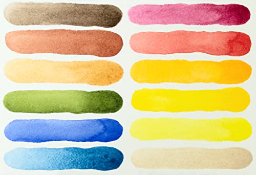 Daniel Smith Color Hand Poured Pan Set in a Metal Box with Bonus 12 Empty Half Pans, 1 Unit (Pack of 1) - style: Set of 12 colors with metal case and 12 empty containers