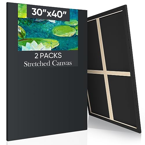 Ctosree 2 Pack Stretched Canvas for Painting, Large Black Cotton Art Large Triple Primed Profile Blank Canvases for Watercolor Acrylics Oil Painting(30 x 40 Inch) - size: 30 x 40 Inch