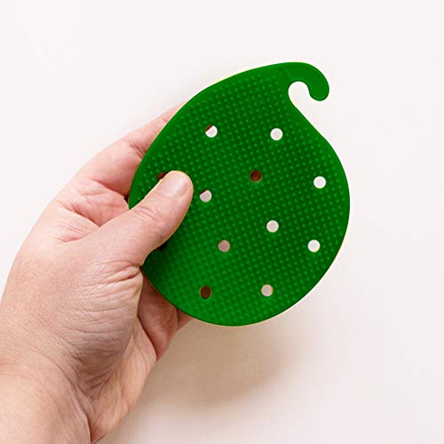 Cestari Vegetable Scrubber Brush : Double Sided Fruit and Veggie Scrubber | Multi Use: Potato Scrubber - Carrot Brush - Trivet - Jar Opener - Coaster - Fruit Cleaner -BPA Free - color: Jade Green