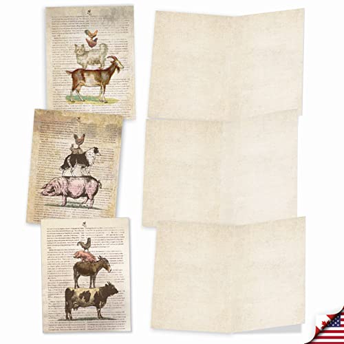 The Best Card Company - 10 Assorted Blank Note Cards Bulk Box Set 4 x 5.12 Inch with Envelopes (10 Designs, 1 Each) Boxed Assorted Kid Cards of Pets - FARM STAND M6595OCB - style: Farm Stand