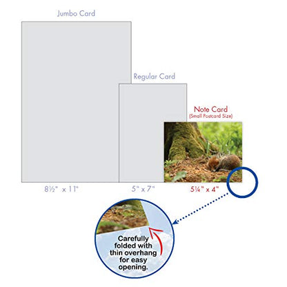 The Best Card Company - 10 Adorable Note Cards Blank (4 x 5.12 Inch) - Wildlife and Animal, Assorted Boxed Set - Little Foxes M6480OCB - style: Little Foxes
