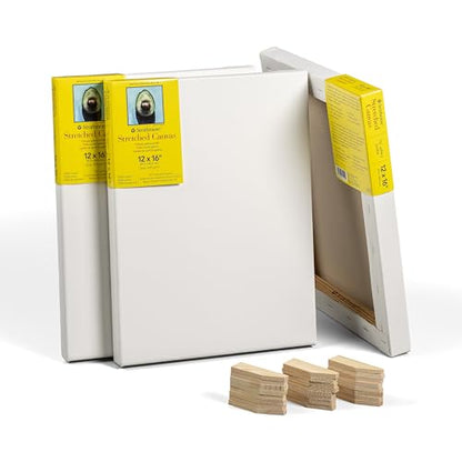Strathmore 300 Series Gallery Stretched Canvas Pack, 12x16 inch, 3 Pack, Art Canvas for Students Professionals - size: 12x16 inch, style: Gallery Profile