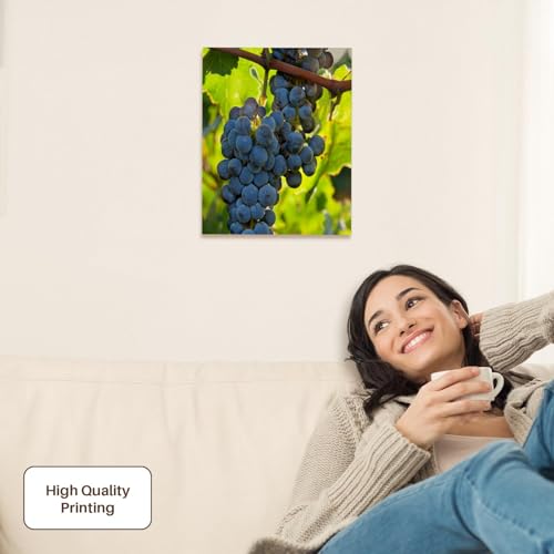 3dRose China, Xinjiang, Xinjiang Uyghur, Manas. Cabernet sauvignon grapes. Museum Grade Canvas Wrap 11x14 - size: 11"L x 14"W