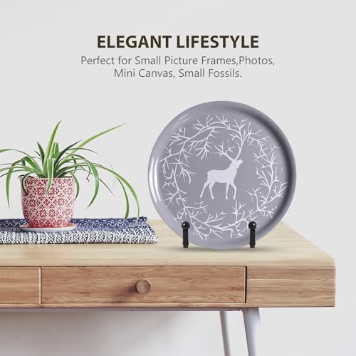 DIDUDIDU Plate Holder Easel Display Stand - Metal Plate Stands for Display - Tabletop Picture Stand - Black Iron Easels for Display Pictures | Photo Frames | Book | Decorative Plates | Plaque - size: 3 inch (2 pack)