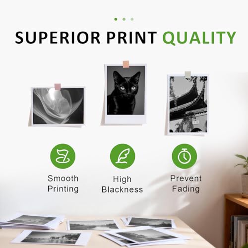67XL Black Ink Cartridge Replacement Compatible with HP 67 XL, Works with DeskJet 2700e 2755e 4155e 4255e and Envy 6000 6055e 6455e Printers (2 Black) - size: 67XL 2 K