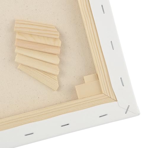 Paramount Canvas for Painting - Pack of 6, 11x14 White Canvases- 11/16" 100% Cotton Stretched Canvas, Triple-Primed for All Media, Medium Tooth, Back-Stapled, 12oz Primed Weight, Wood Stretcher Bars - size: 11x14" - Box of 6
