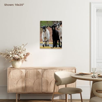 3dRose Museum Grade Canvas Wrap, Multicolor - size: 20"L x 16"W