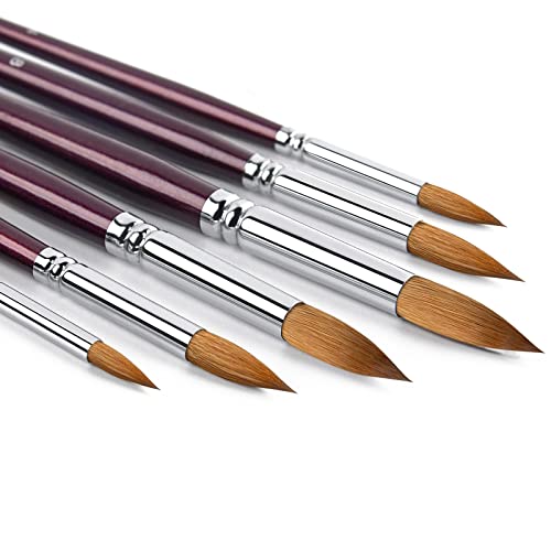 Kolinsky Watercolor Brush Set Pure Kolinsky Sable Hair Pointed Round Art Paintbrushes Premium 6 Pcs Round Tip Paint Brush Artist Acrylic Brush for Watercolor, Art Painting Gouache, Face Painting