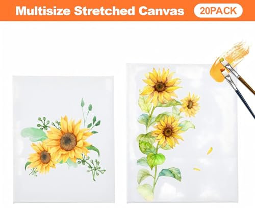 20 Pack Stretched Canvas Boards for Painting, 100% Cotton Canvas, for Acrylic and Oil Painting.