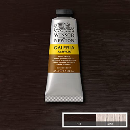 Winsor & Newton Galeria Acrylic Color, 60ml (2-oz) Tube, Burnt Umber - color: Burnt Umber, style: 2-oz Tube