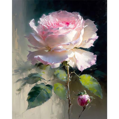 xackcme Rose Paint by Numbers for Adults - Flower Paint by Number on Canvas Without Frame, DIY Floral Oil Painting for Gift Home Wall Decor (16x20 inch) - color: MT12365