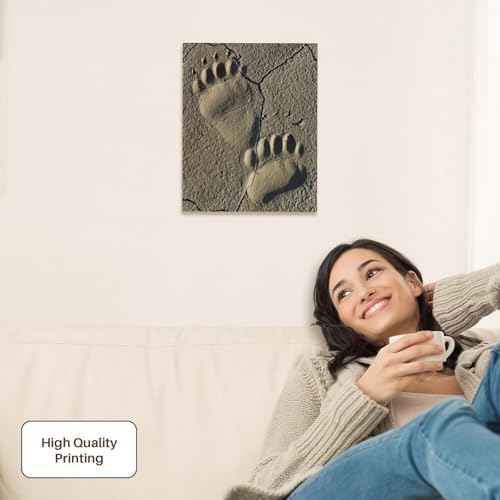 3dRose Footprints of adult coastal grizzly bear. Lake Clark NP, Alaska. Museum Grade Canvas Wrap 11x14 - size: 11"L x 14"W