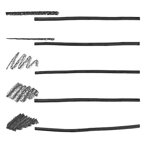 Pacific Arc Artist Vine Charcoal, Soft, Black 12 Pieces, Artist Vine Charcoal Sticks, Extra Soft and Smooth Drawing Charcoal - style: Soft | 12 Sticks