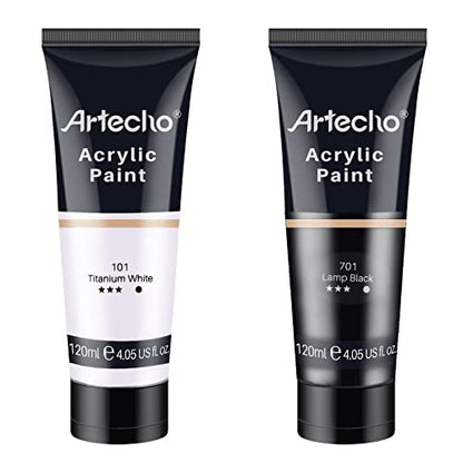 Artecho Professional Acrylic Paint, White and Black (120ml / 4.05oz) Tubes, Art Craft Paints for Canvas, Rock, Stone, Wood, Fabric, Art Supplies - color: White and Black, style: Regular