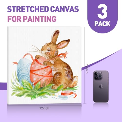 ESRICH Stretched Canvas for Painting 12x12 Inch, 3 Pack Square Painting Canvas -5/8 in Profile Primed Cotton White Blank Canvases for Painting for Oil & Acrylic Paint - size: 12x12in 3pack