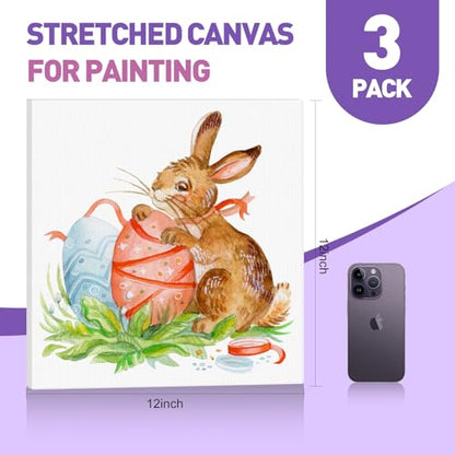 ESRICH Stretched Canvas for Painting 12x12 Inch, 3 Pack Square Painting Canvas -5/8 in Profile Primed Cotton White Blank Canvases for Painting for Oil & Acrylic Paint - size: 12x12in 3pack