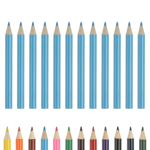 PATIKIL Colored Pencils, Sky Blue Color Cute Drawing Pencils with Oil-Based Cores Art Scrapbook Supplies for Adult Coloring Books Artists Beginners Drawing Sketching, 12 Pcs - color: Sky Blue