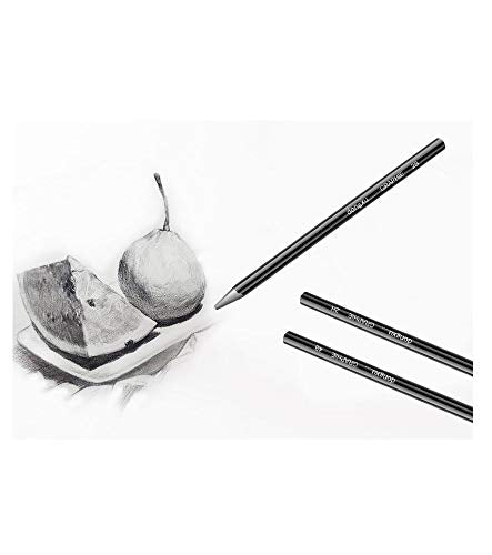 3pcs Woodless Pencil Set - Charcoal Graphite Pencil 2H 2B 4B for Drawing, Writing, Shading, Coloring,No Wood, Gift for Artist, Hobbyist,Beginner(3pcs 2H 2B 4B) - color: 3pcs 2H 2B 4B