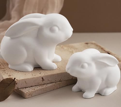 Wehous 2PCS Rabbit Silicone Molds, 3D Rabbit Resin Candle Soap Molds, Easter Cute Bunny Animal Epoxy Resin Casting Concrete Clay Mold, Unique Display Mold DIY Art Crafts Wall Hanging Easter Decor - color: 2x Rabbit