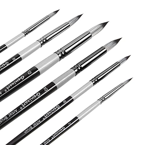 Round Pointed Tip Paint Brushes Set, 6 Pcs Artist Paintbrushes for Acrylic Oil Watercolor Gouache Painting, Premium Nylon Hair Art Paint Brush for Beginners and Professionals - size: Round - 6 Pcs