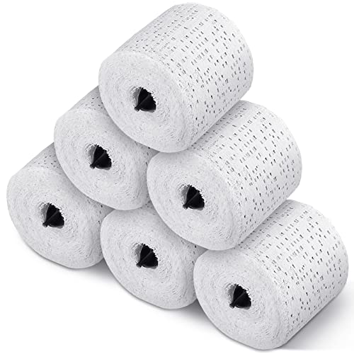 Heentan 6 Rolls Plaster Strips Plaster Gauze Bandages Blank Cloth Wrap Rolls for DIY Hobby Crafts, Belly Cast, Body Molds, Mask Making, Scenery Art(2 x 180 Inches) - size: 2 x 180 Inch