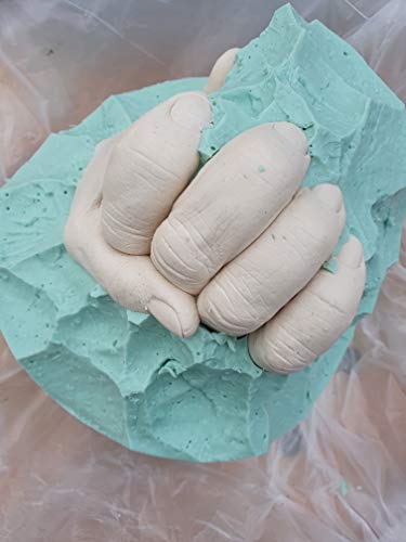 Cavex CleverCast Alginate Lifecast Molding Powder, Premium Impression Casting Material, 500 Grams