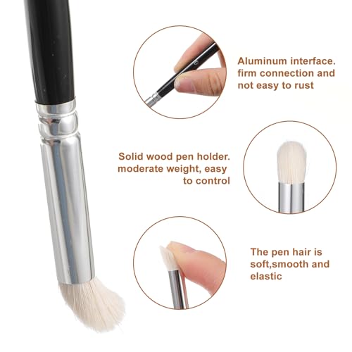 6 Pcs Dry Brush Set, Drybrush Set Round Detail Paint Brush for Model Ceramics Art Painting(2, 4, 6, 8, 10, 12)