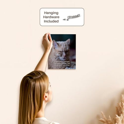 3dRose Ginger Cat. A cat is more intelligent than people believe... Museum Grade Canvas Wrap 8x10 - size: 8"L x 10"W
